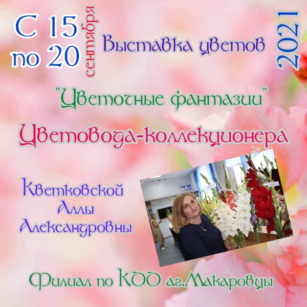 IMG 0be640a4ce2dc811946b93f4549e80d7 V