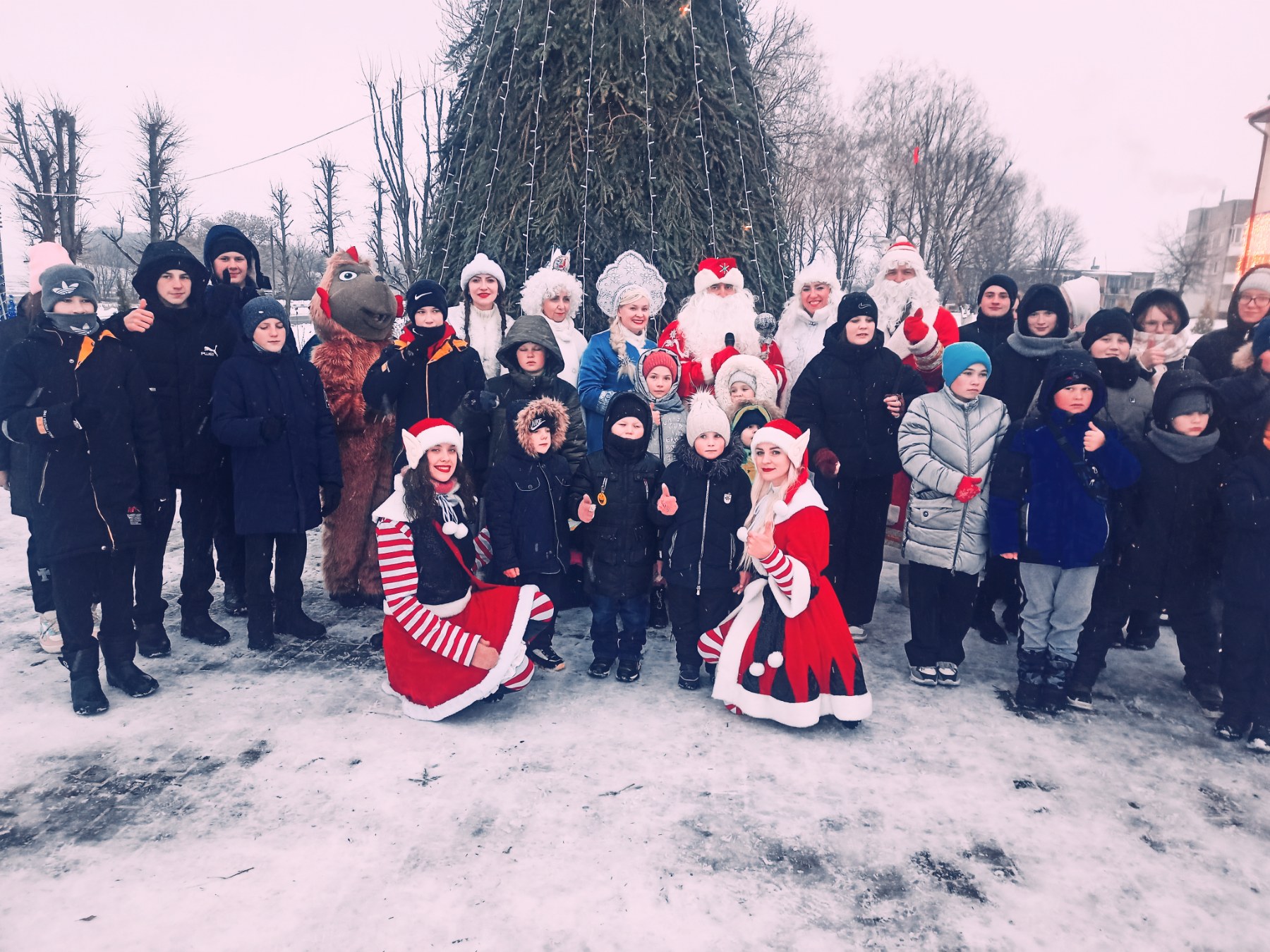 изображение viber 2023 12 11 22 24 56 472