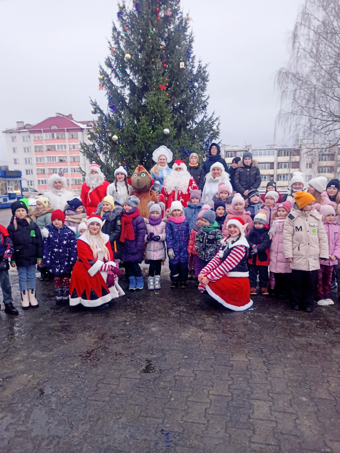 изображение viber 2023 12 13 11 28 14 132