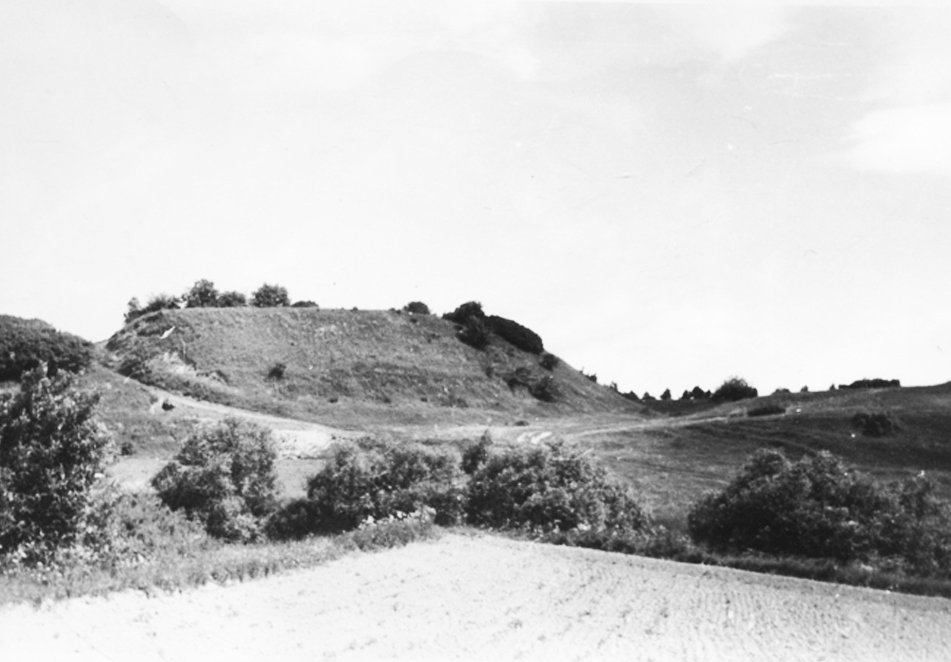 Вялікае гарадзішча 1970