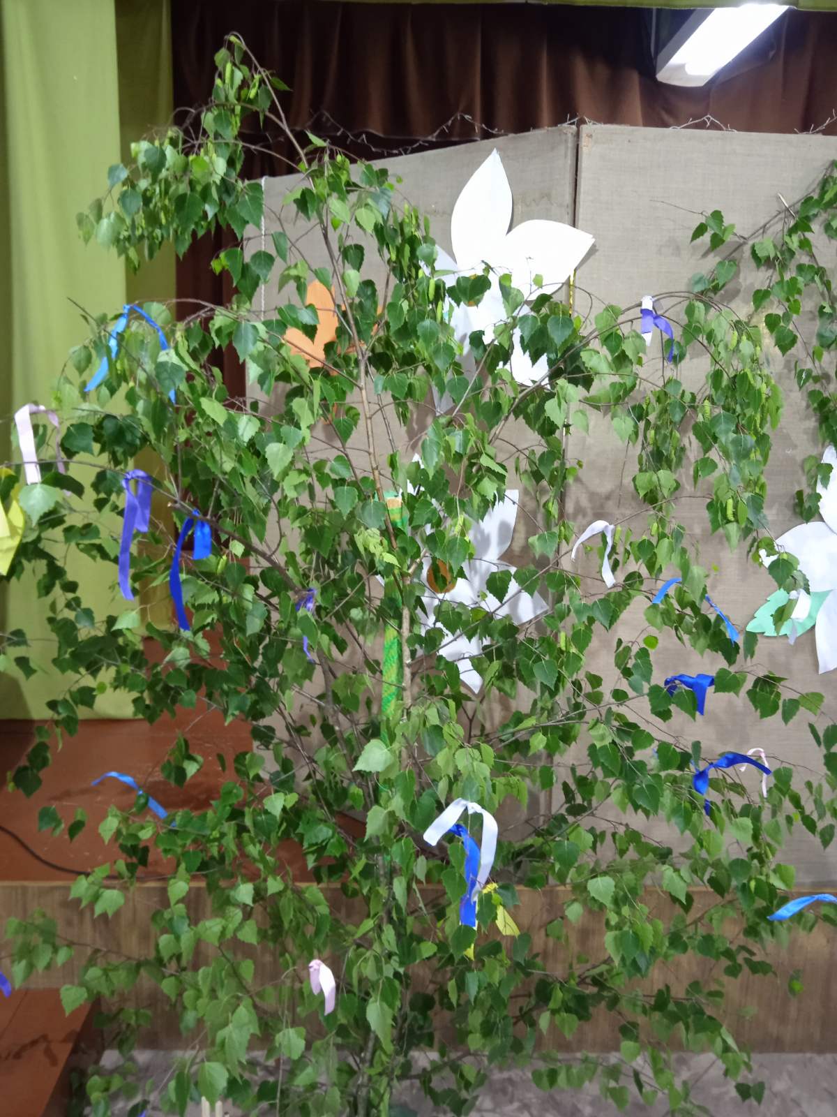 изображение viber 2025 06 06 17 09 46 122