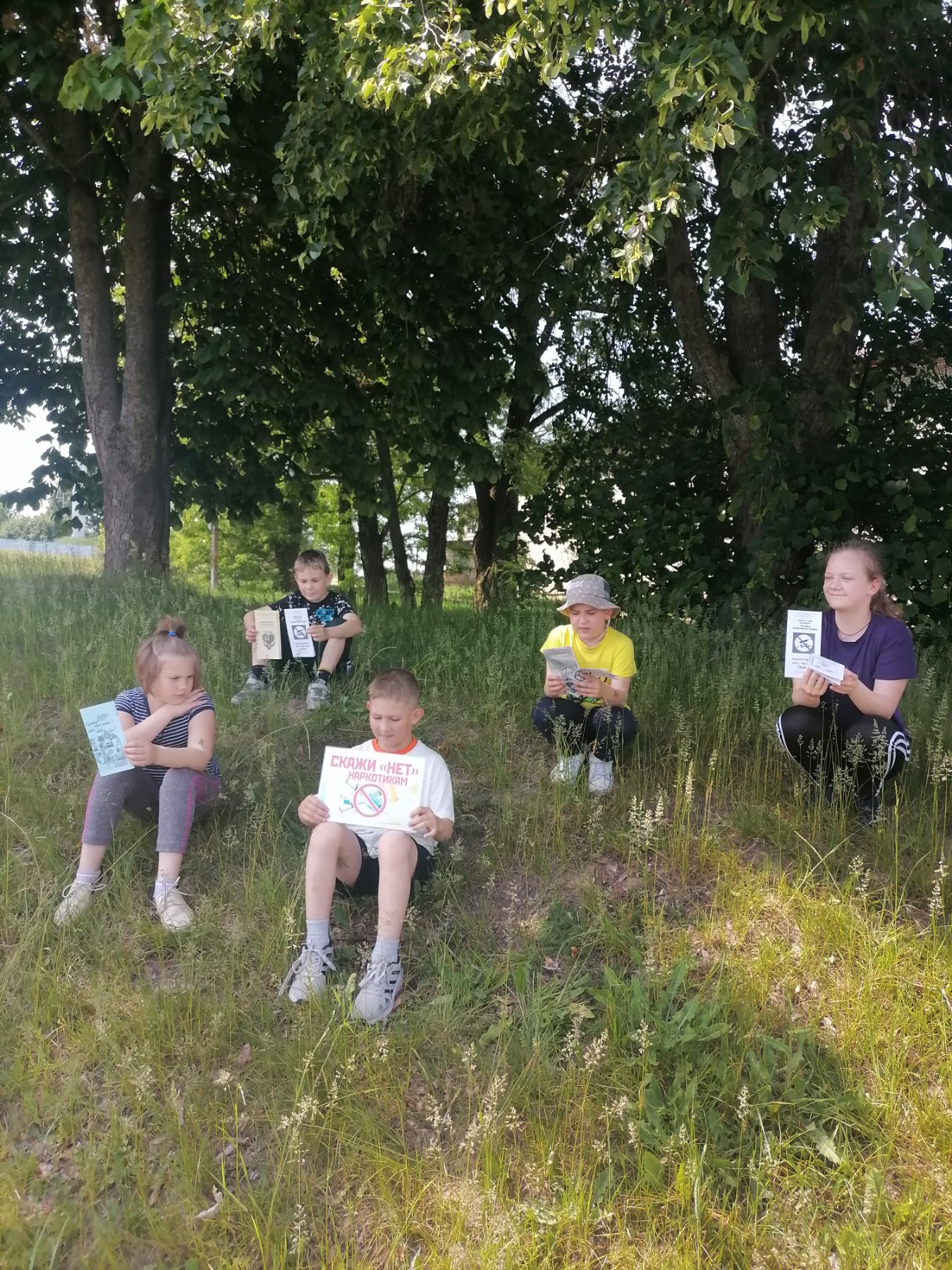 изображение viber 2025 06 07 09 24 51 201