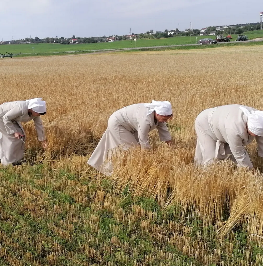 Screenshot 2025 07 21 at 16 01 58 Instagram