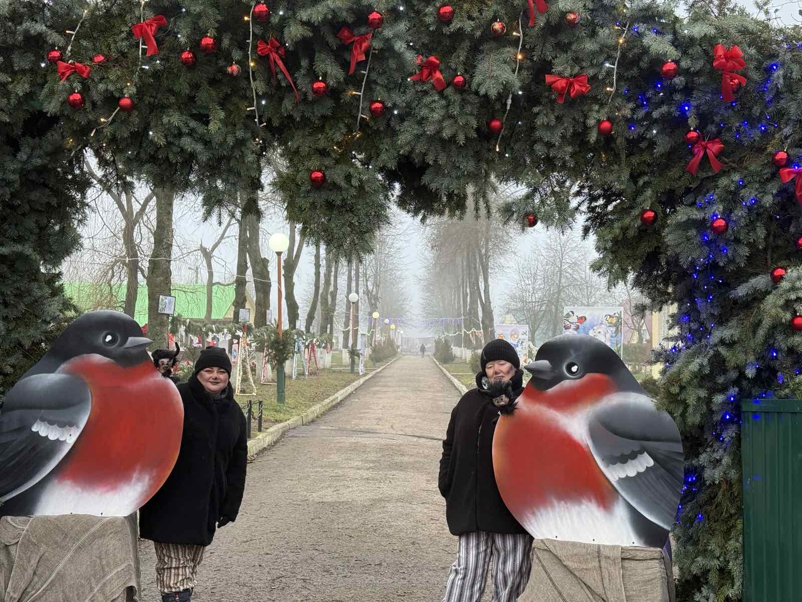 изображение viber 2025 12 16 16 36 32 374