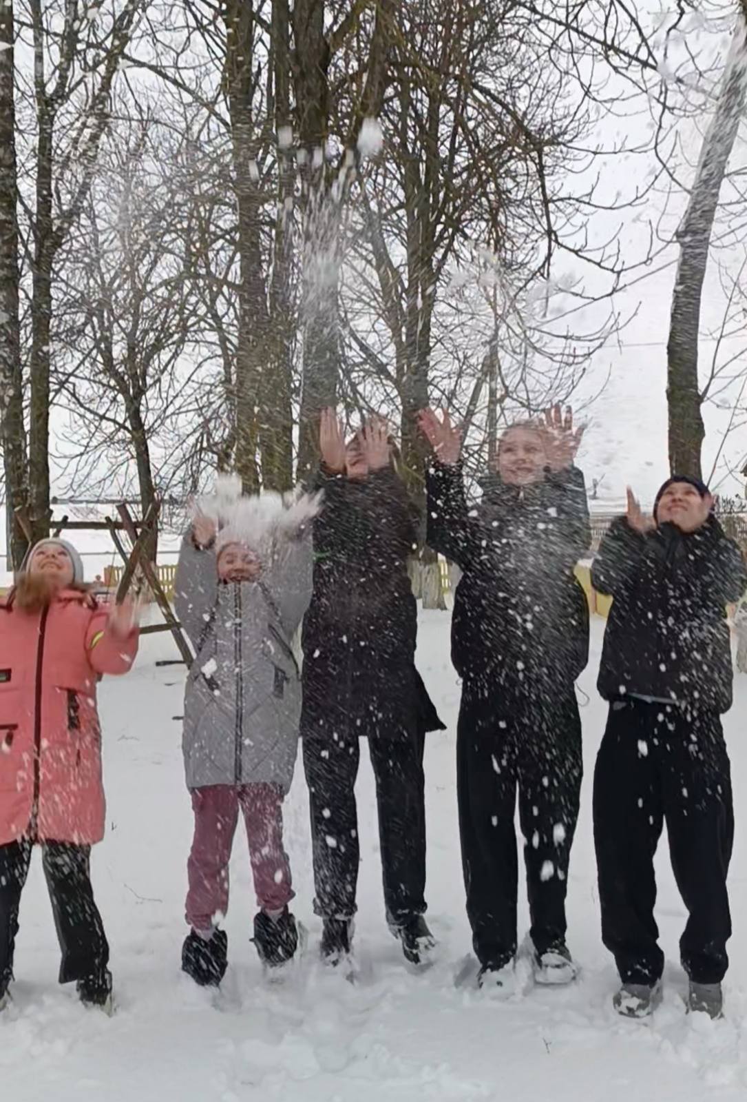 изображение viber 2026 01 04 13 16 34 353