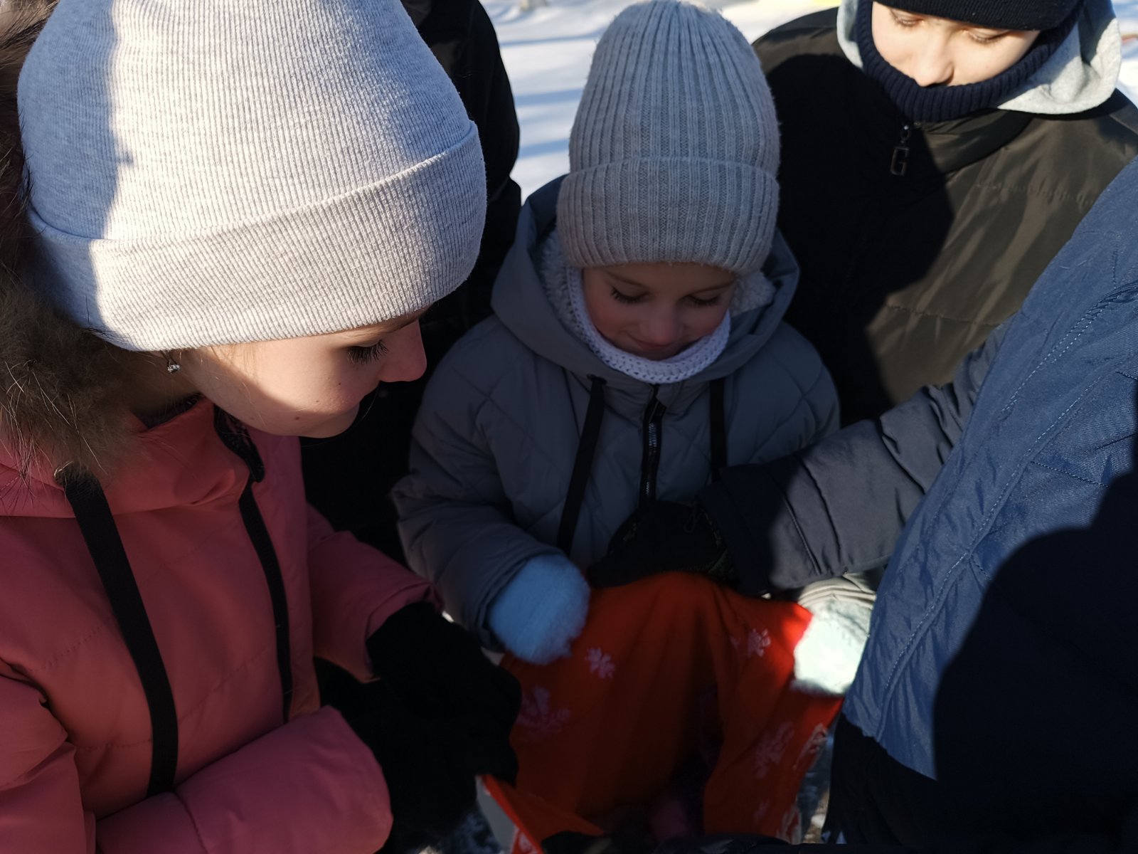 изображение viber 2026 01 18 10 54 19 518