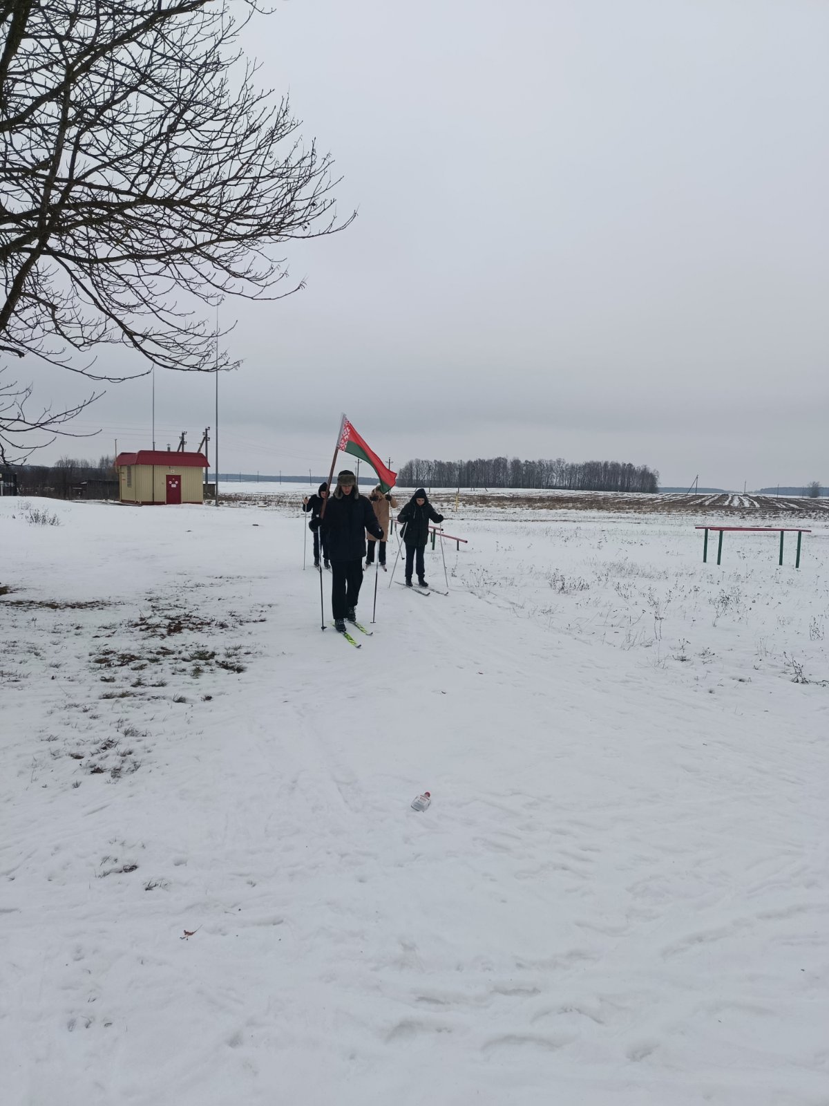 изображение viber 2026 02 14 14 46 54 378