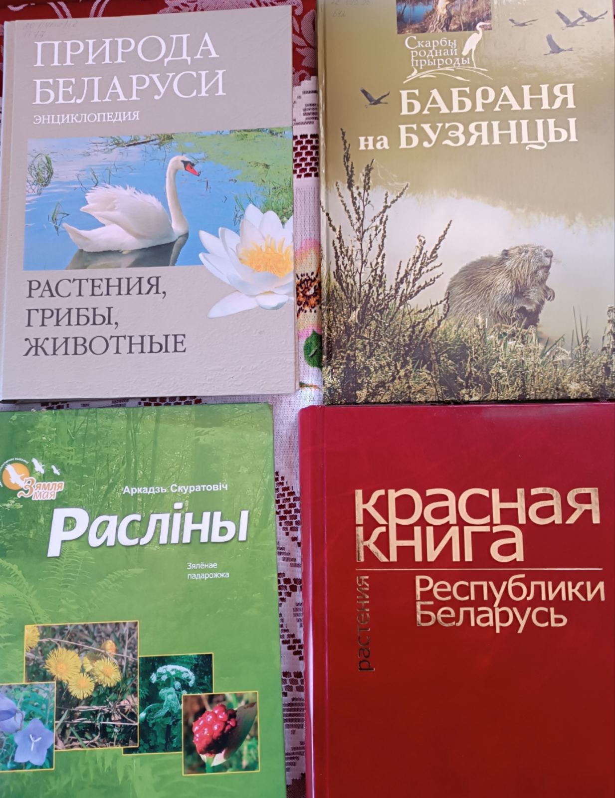 изображение viber 2026 03 28 15 29 14 611