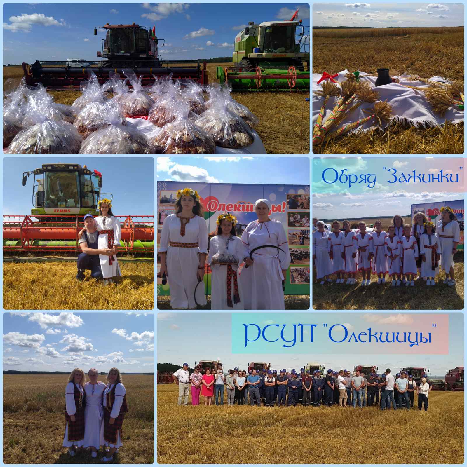 IMG 1dff1412448ae58139612dc22698f659 V