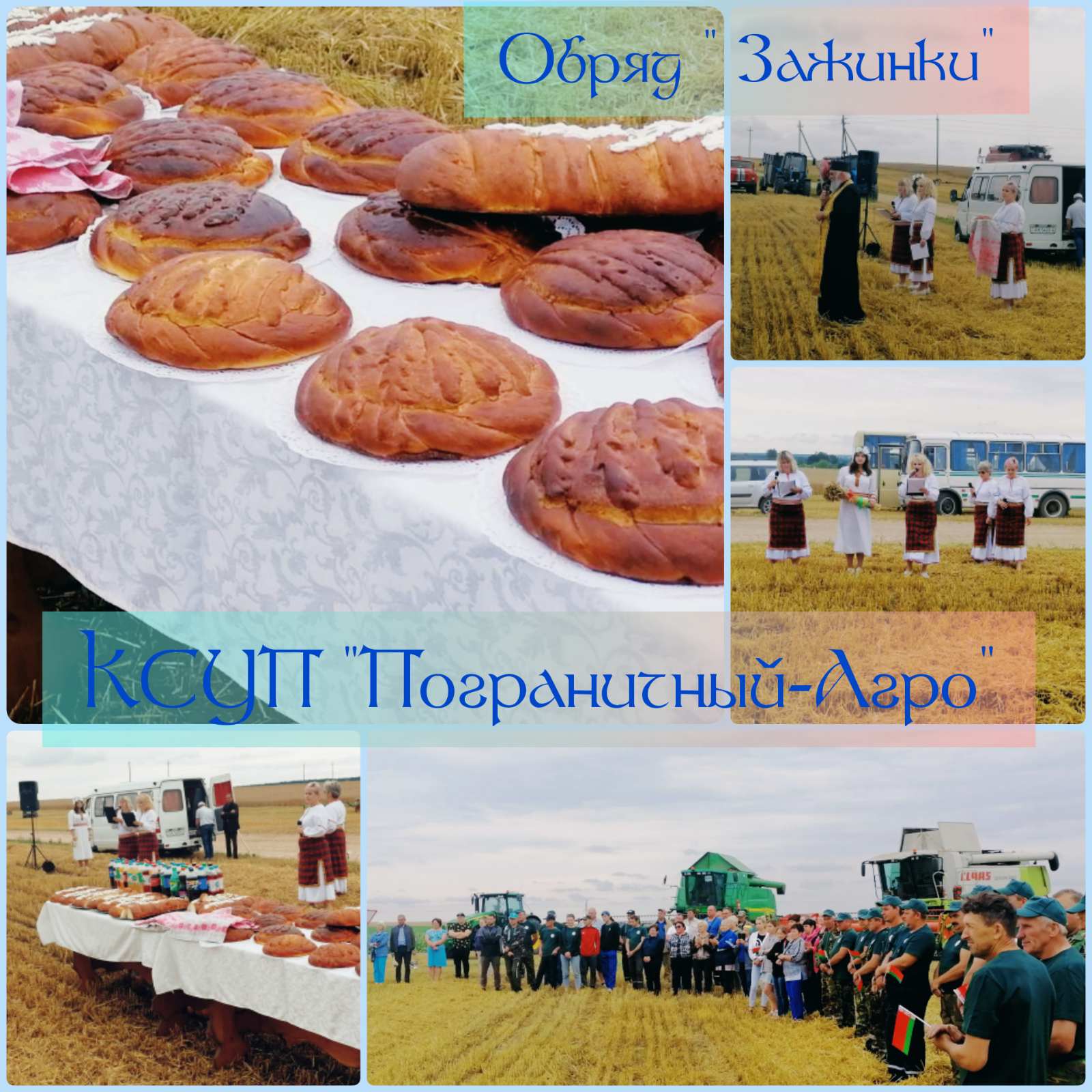 IMG 7985a55a024e6470e33d7e9bd8daf4bf V