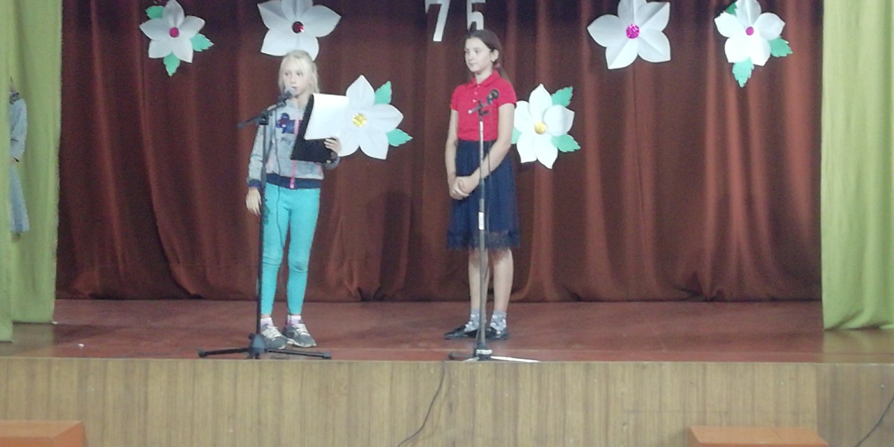 IMG fab1de0ce128b1f5d280a5ecd3de63ce V