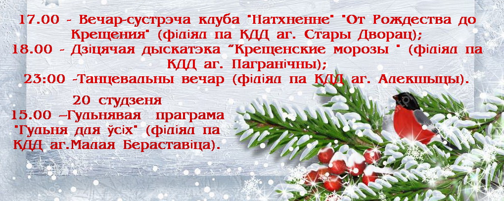 depositphotos 37151539 stock photo bullfinches on snow branch копия 3