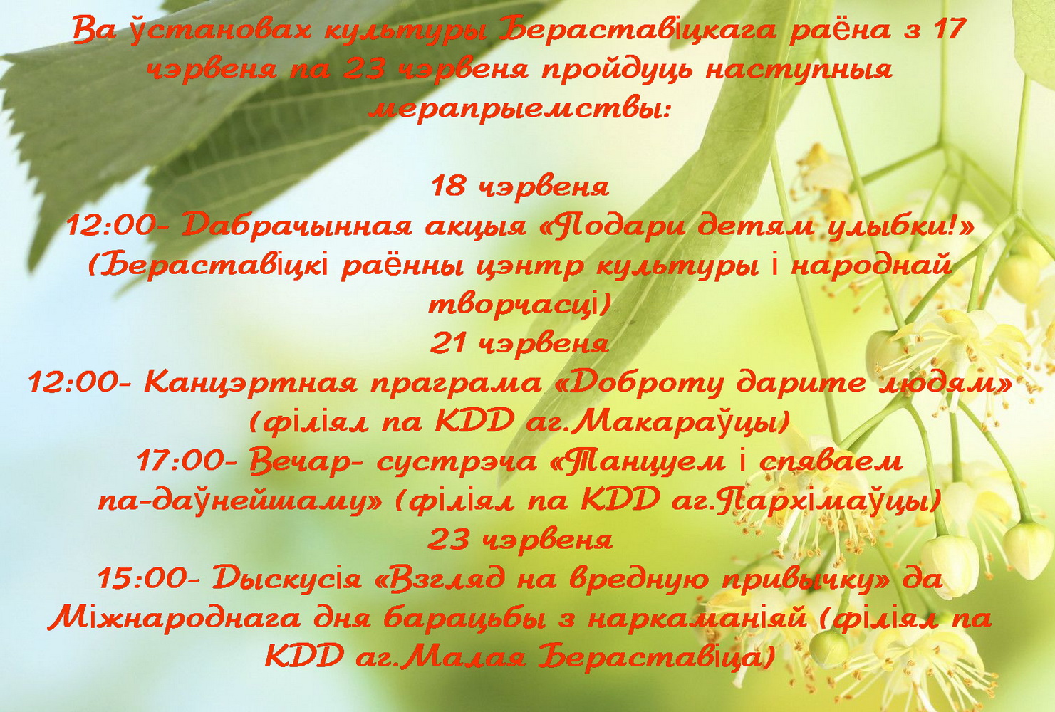 linden green leaves 255321