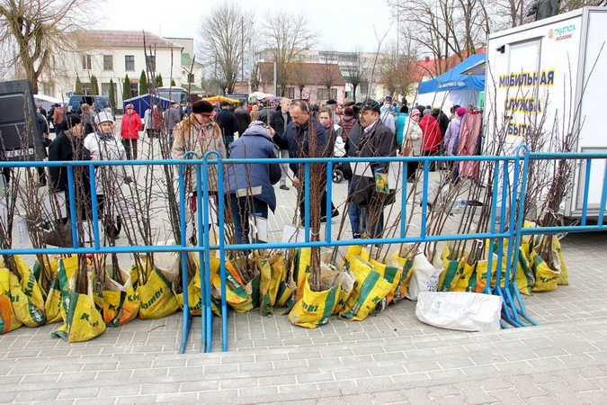 IMG 4371 1 новый размер